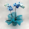 Orchidée bleue déco