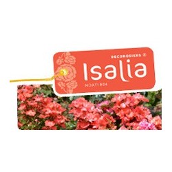 Isalia décorosier