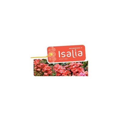 Isalia décorosier