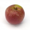 Boskoop rouge