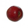 Calville rouge