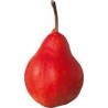 Williams' rouge
