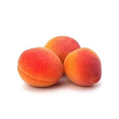 abricot bergeron