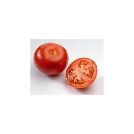 Tomate Fournaise