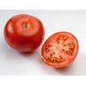Tomate Fournaise
