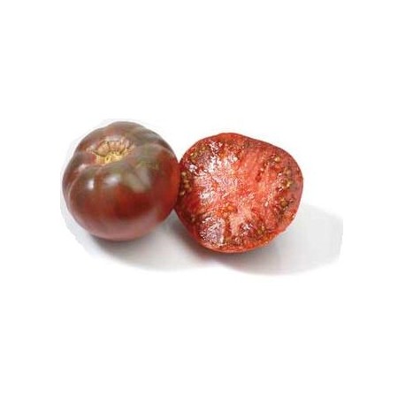 Tomate Noire de Crimée