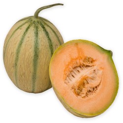 Melon greffé