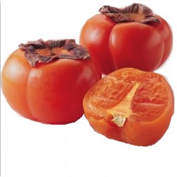 Plaqueminier (Kaki)